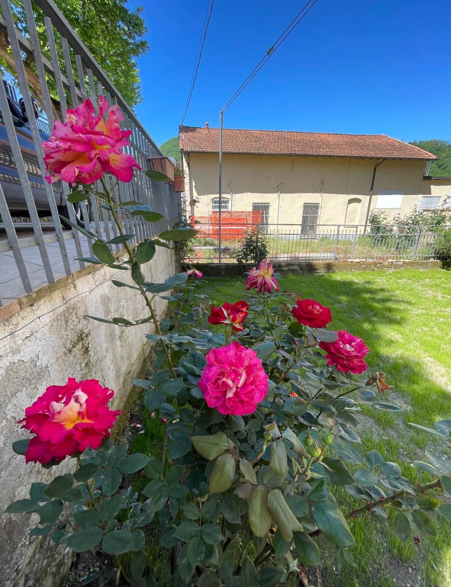 Casa Baldassini آولا المظهر الخارجي الصورة